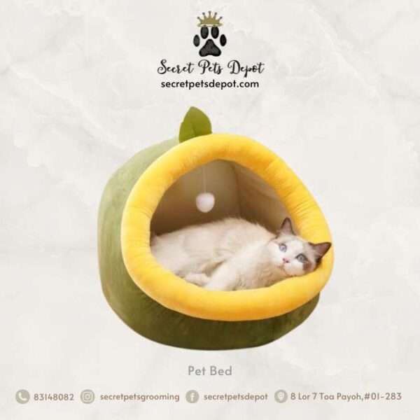 Cute Fruit Shaped Pet Bed