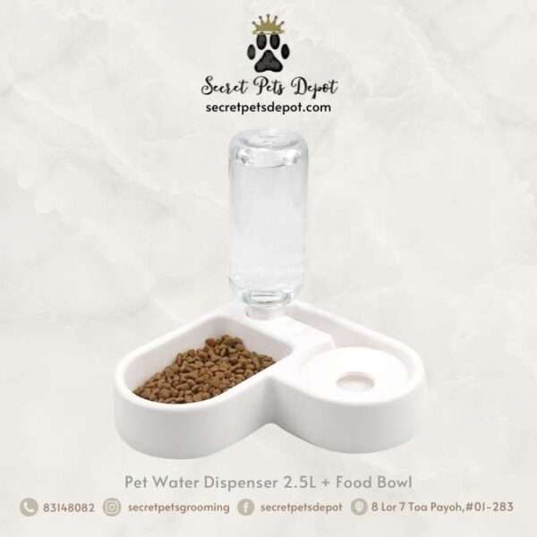 Automatic Pet Water Dispenser with Food Bowl