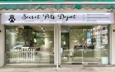 One Stop Pet Grooming Services in Singapore
